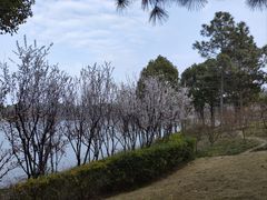 -美兰湖景区
