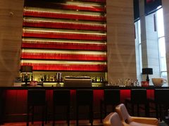 -北纬29度大堂吧-重庆富力艾美酒店-近江岸天街