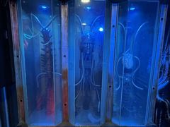 -屋有岛沉浸游戏旗舰店(中山公园店)