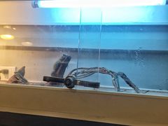 -打趸BTC·Breaktime cafe(北京路店)