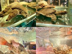 -1718海鲜姿造(苏宁宴请臻选店)