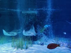 -沈阳海洋探索中心