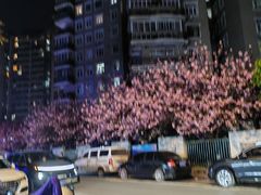 -小民大排档(马场角横路店)
