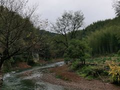 -水墨汀溪风景区