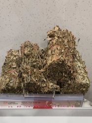 -七分屋LA·烫发·染发·剪发