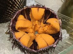 -满田家大排档(朝阳店)