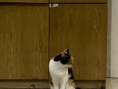 -吉友粥底火锅(方斜路店)