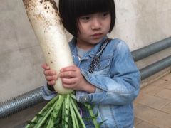 -小慧大桃观光采摘园
