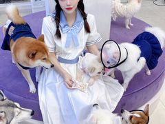 -怪兽屋·羊驼·猫咖·狗咖(俊华广场店)