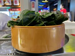 -龍歌自助小火锅(城阳万象汇店)