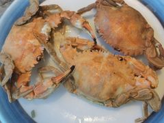 -亚马逊蒸汽活海鲜自助(LCM置汇旭辉广场店)