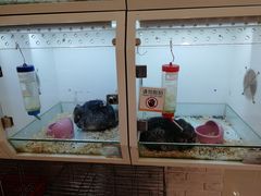 -凯德广场(武胜路店)