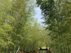 -陶祖圣境风景区