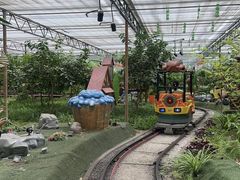 -南宫五洲植物乐园