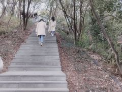 -金鸡山公园