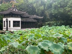 -扬州大运河文化旅游度假区·盆景园