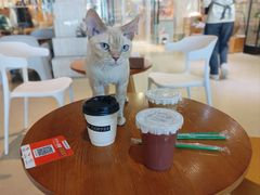 -藏猫猫咖啡主题馆(中央大道店)