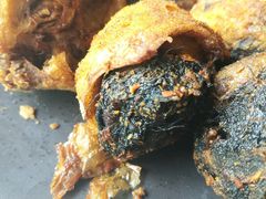 -食家鸽园