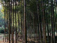 -黄公望隐居地