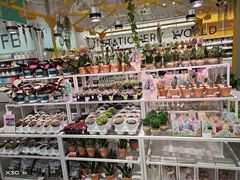 -KKV(深圳宏发大仟里店)