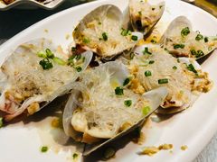 蒜蓉贵妃蚌-强记海鲜·大排档(蛇口新街店)