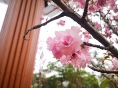 -南丹山森林王国