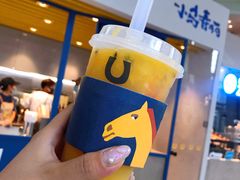 -春丽小马(济南恒隆广场店)