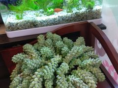 -螺世纪螺蛳粉·桂味小排档(裕德店)