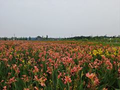-曾百万小炉小串自助烧烤(高新店)