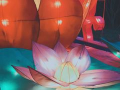 -洛阳市隋唐城遗址植物园