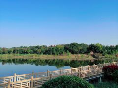 -南京枫彩漫城