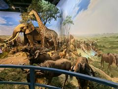 -陕西自然博物馆