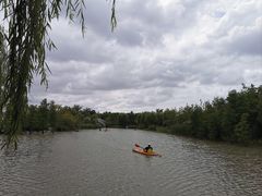 -上海长兴岛郊野公园