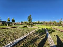 -陕北南泥湾·延安本地菜(人民公园店)