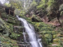 -碧峰峡风景区