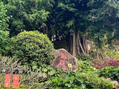 -乌山风景区