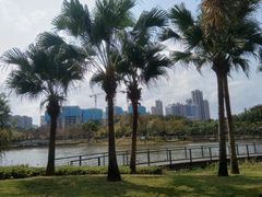 -映月湖公园