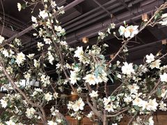 -山有花啡餐厅(常营总店)