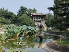 -国家植物园南园