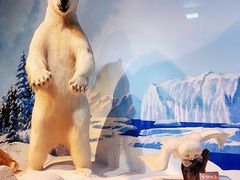 -陕西自然博物馆