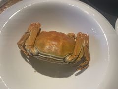 -蟹榭·本帮江浙菜·蟹宴(五角场合生汇商场店)
