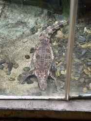 -Zoolung Zoolung动物主题公园(海信广场店)