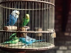 -鱼桥巷·美学川菜