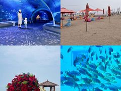 -巧克力渔家.小船海鲜胶东菜(万平口店)