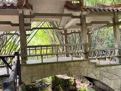 -大雁山风景区
