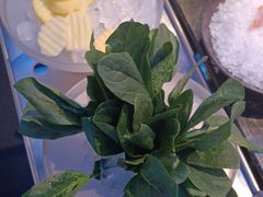 -王家渡火锅店(棕榈泉店)