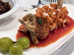 松鼠桂鱼-松鹤楼·非遗·苏帮菜(融科店)