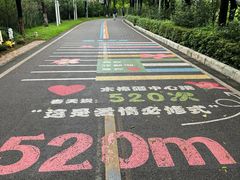-广东花都湖国家湿地公园