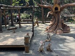 -千岛湖东南湖区