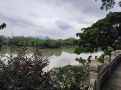 -江心屿景区